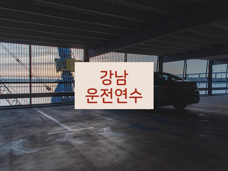 강남운전연수 후기