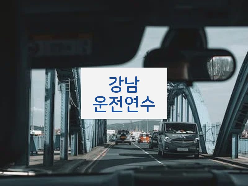 강남운전연수 후기