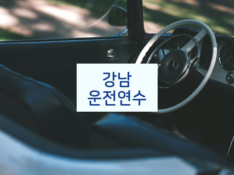 강남운전연수 후기