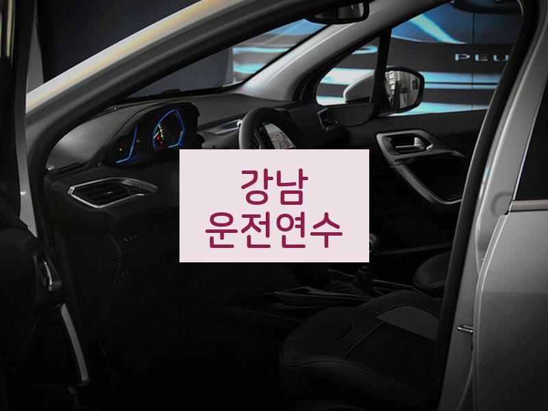 강남운전연수 후기