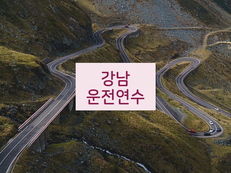 강남운전연수 후기