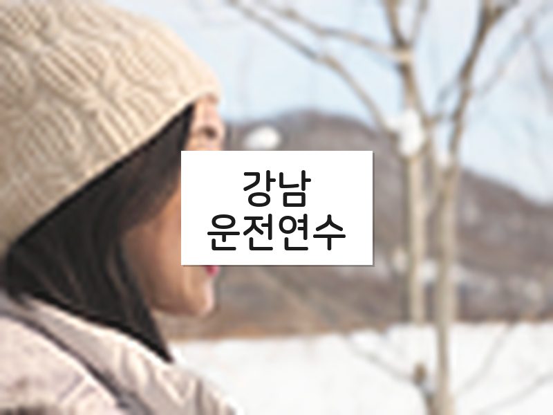 강남운전연수 후기