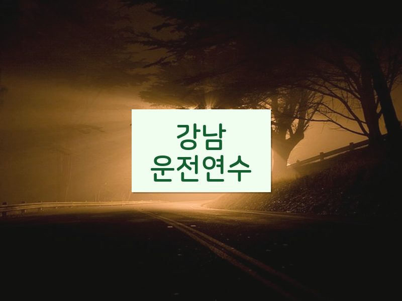 강남운전연수 후기