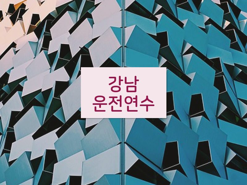 강남운전연수 후기