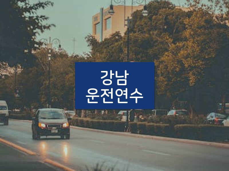 강남운전연수 후기