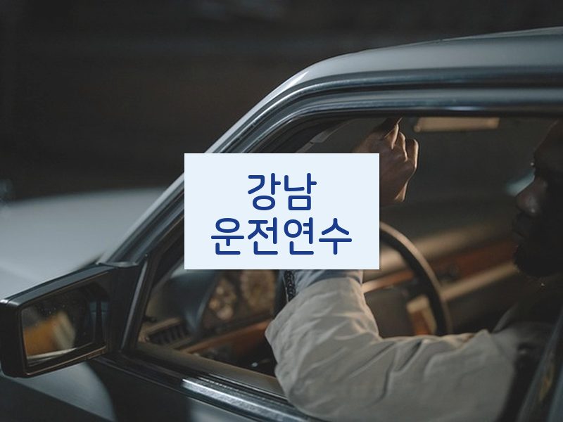 강남운전연수 후기