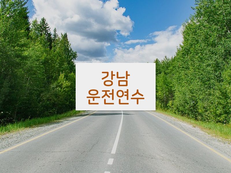 강남운전연수 후기