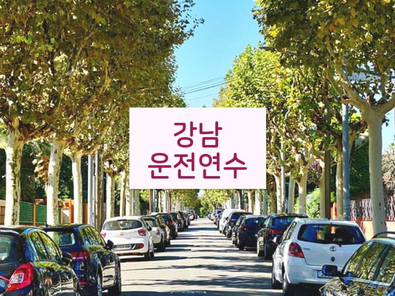 강남운전연수 후기