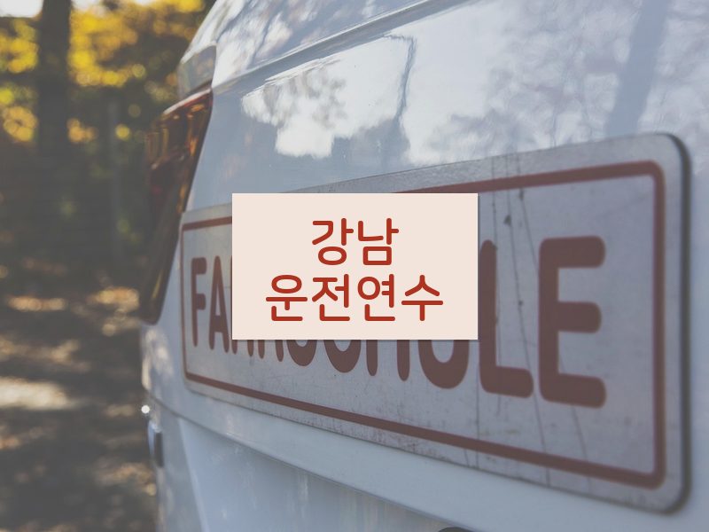 강남운전연수 후기