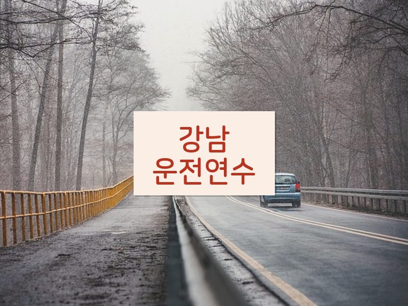 강남운전연수 후기