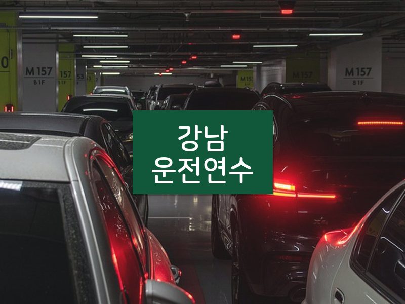 강남운전연수 후기