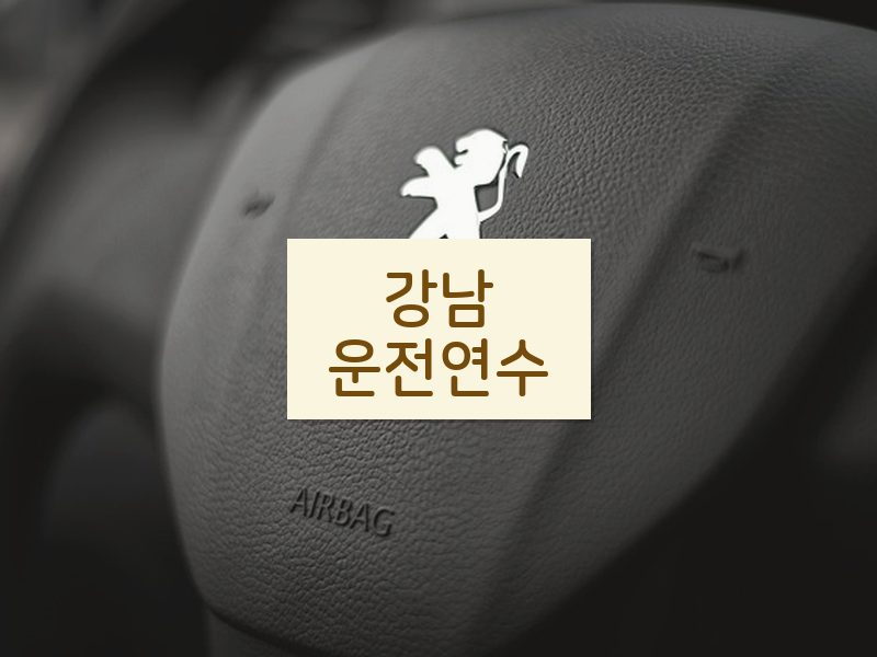 강남운전연수 후기