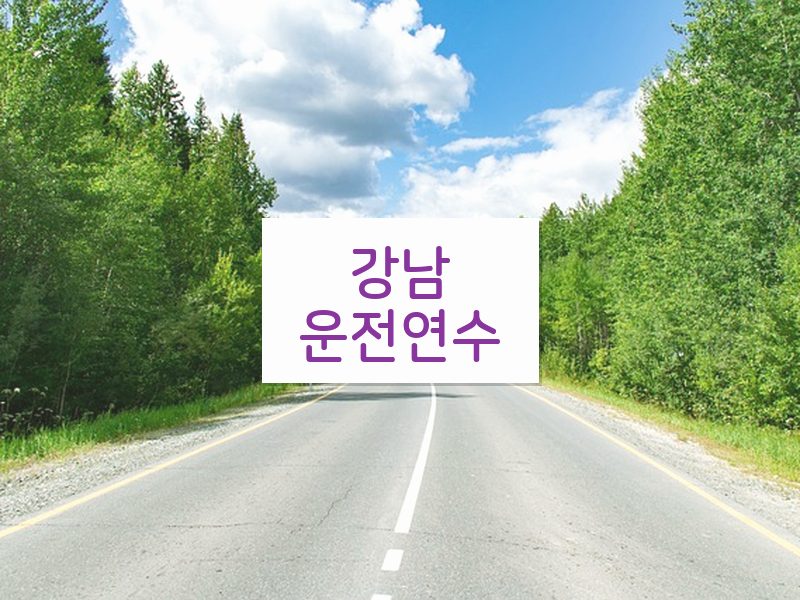 강남운전연수 후기