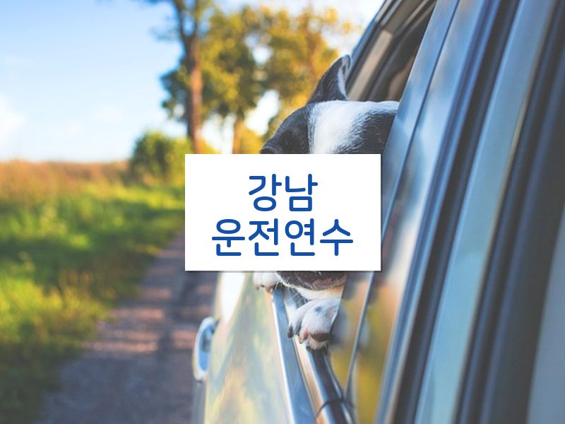 강남운전연수 후기
