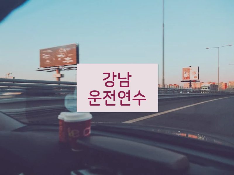 강남운전연수 후기