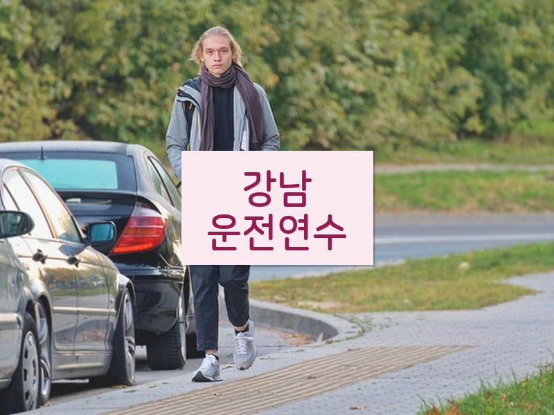 강남운전연수 후기