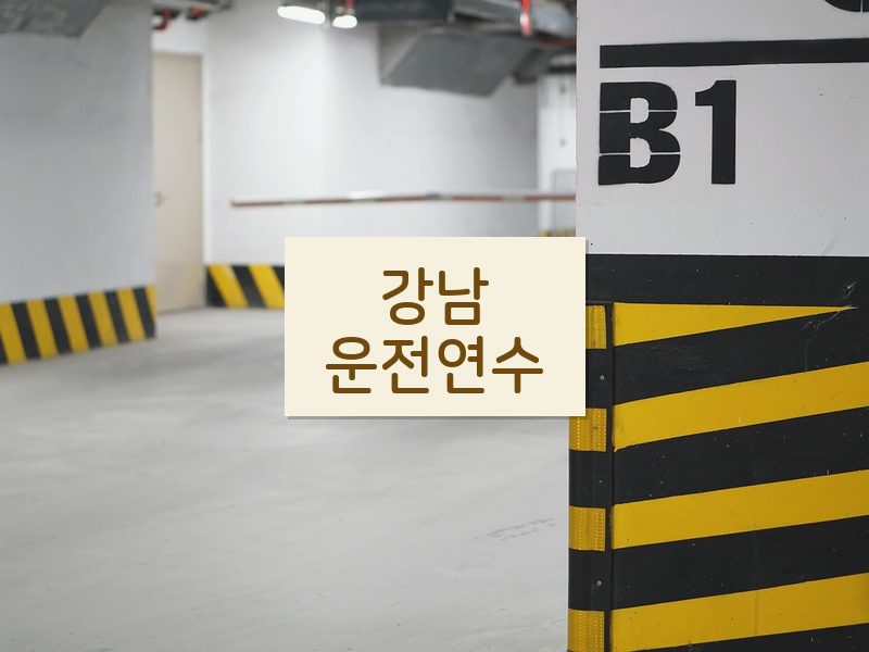 강남운전연수 후기
