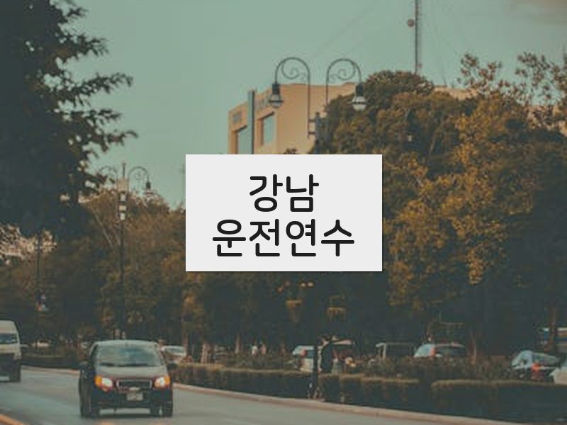 강남운전연수 후기