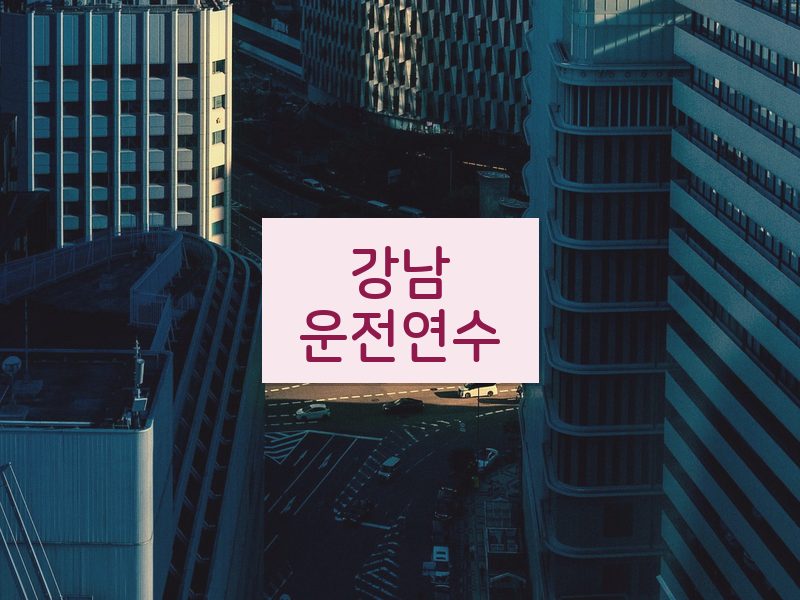 강남운전연수 후기