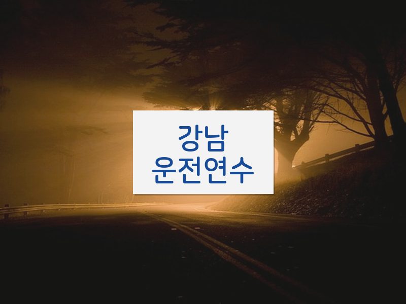 강남운전연수 후기