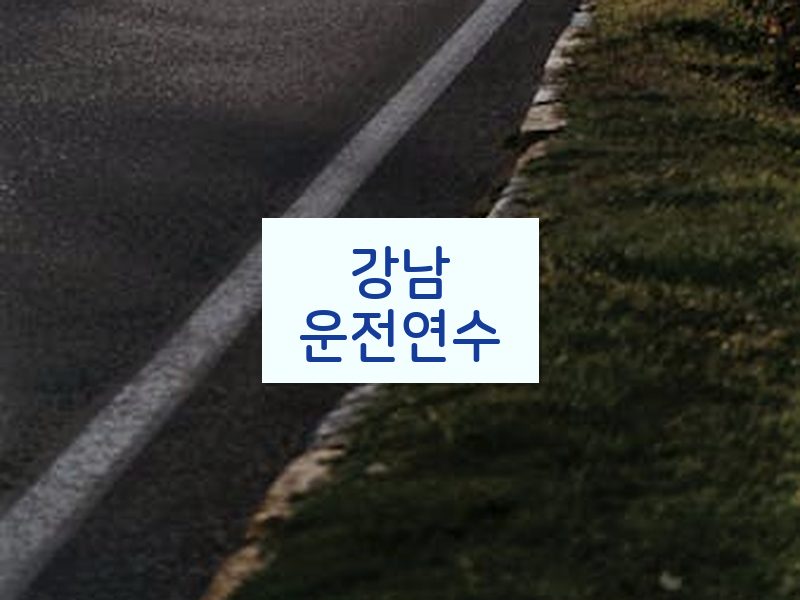 강남운전연수 후기