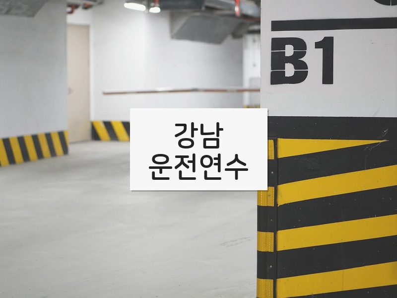 강남운전연수 후기