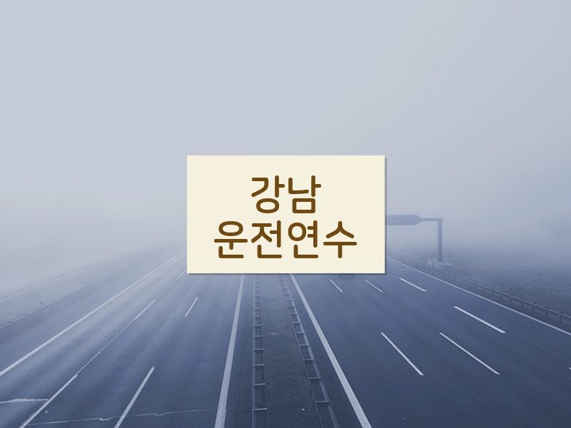 강남운전연수 후기