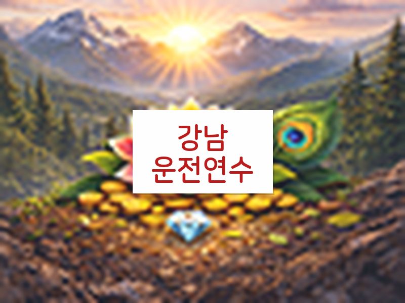 강남운전연수 후기