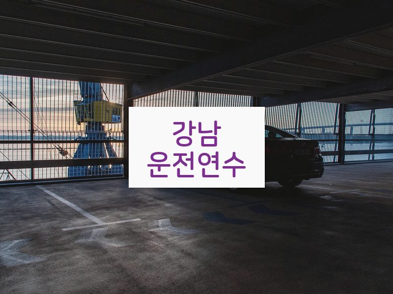 강남운전연수 후기