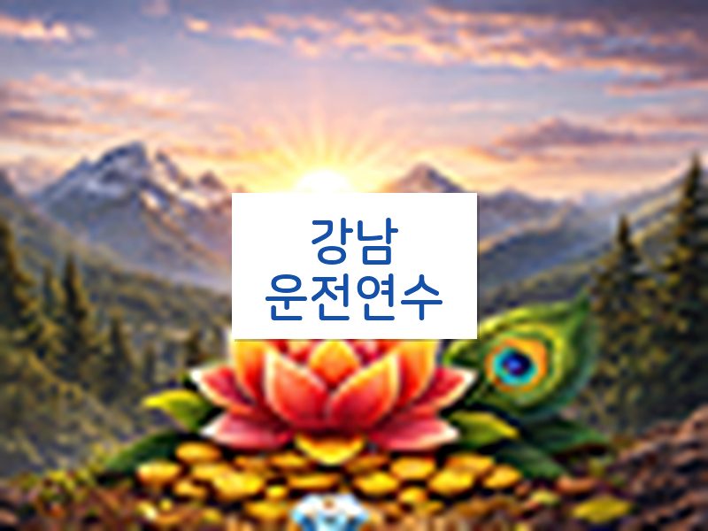 강남운전연수 후기