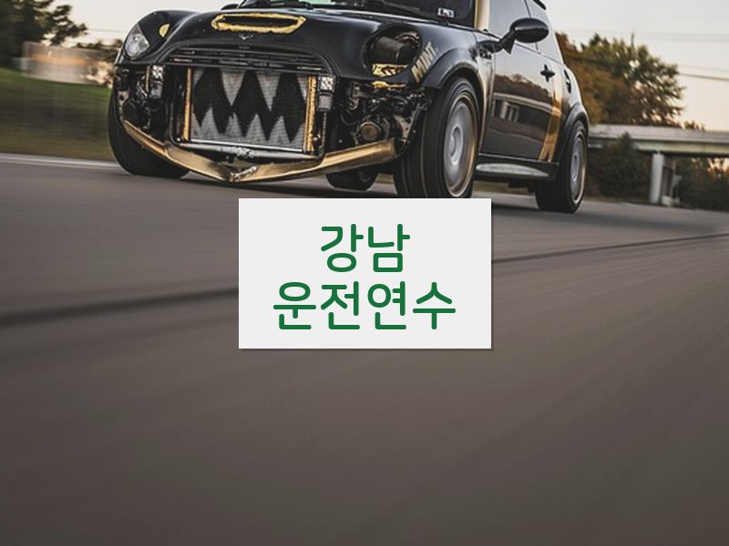 강남운전연수 후기
