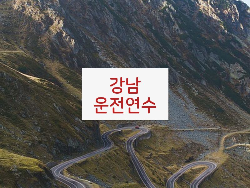 강남운전연수 후기