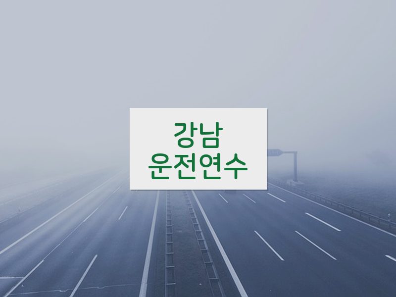 강남운전연수 후기