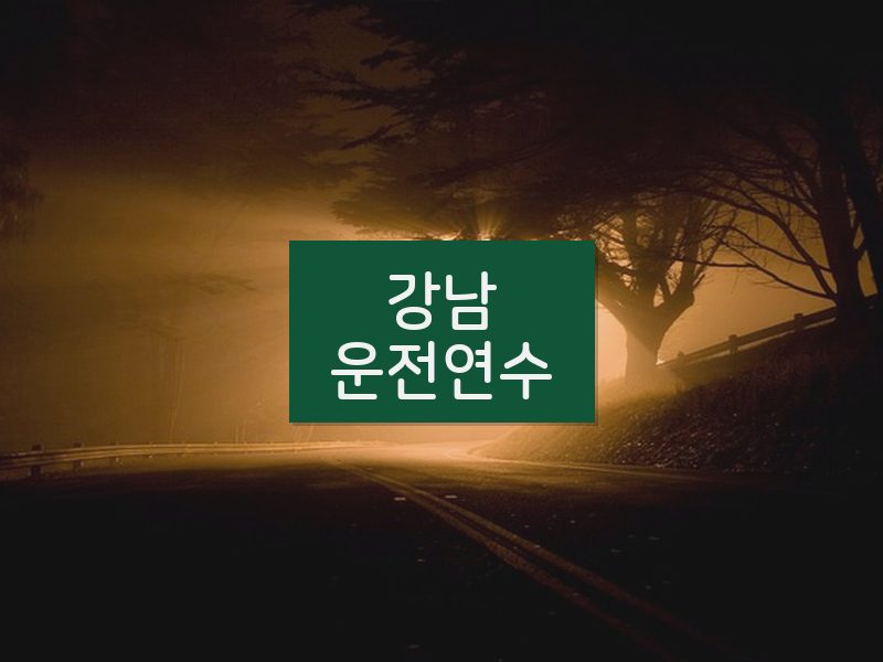 강남운전연수 후기