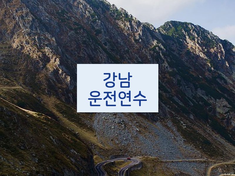 강남운전연수 후기