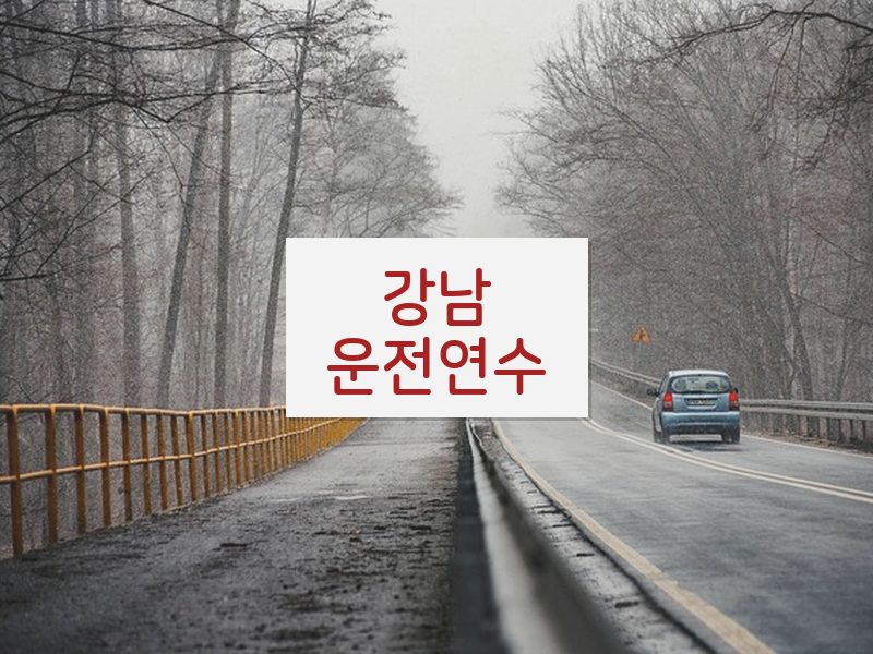 강남운전연수 후기