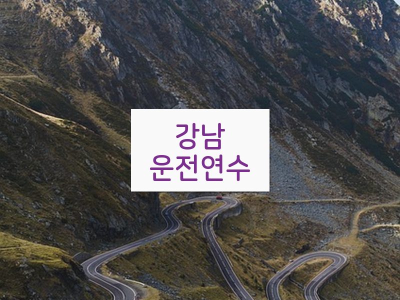 강남운전연수 후기