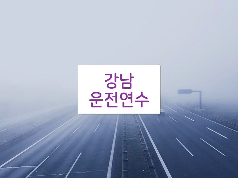 강남운전연수 후기