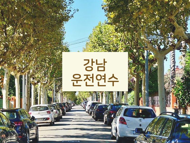 강남운전연수 후기