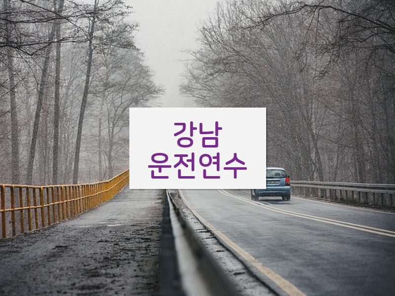 강남운전연수 후기
