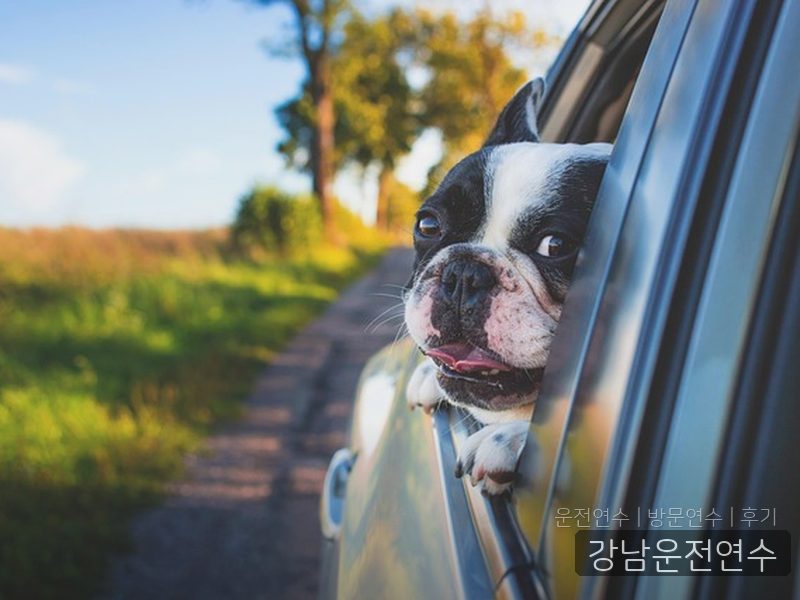 강남운전연수 후기