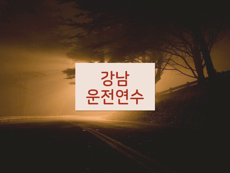 강남운전연수 후기