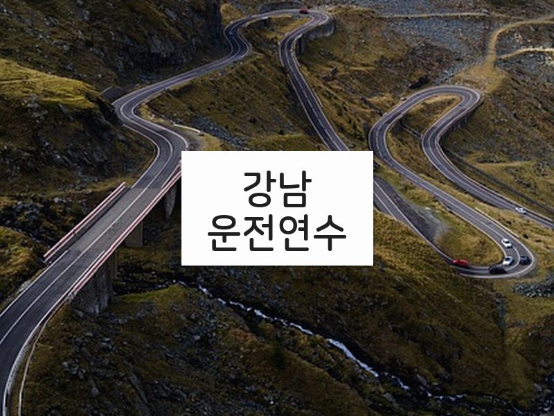 강남운전연수 후기