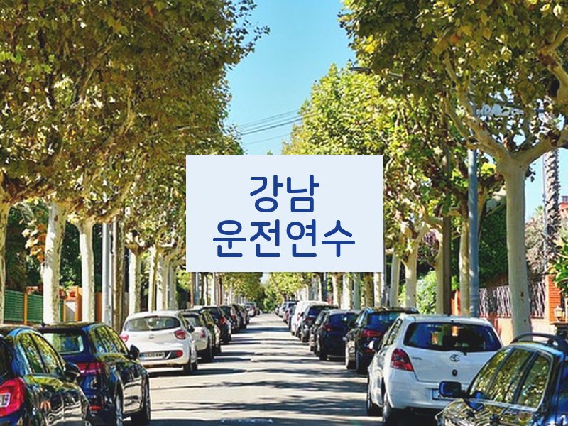 강남운전연수 후기