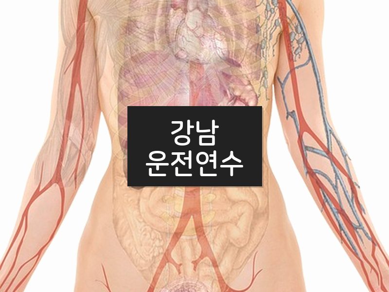 강남운전연수 후기