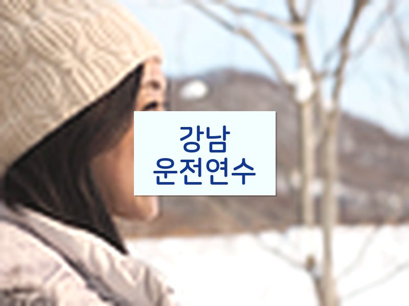 강남운전연수 후기