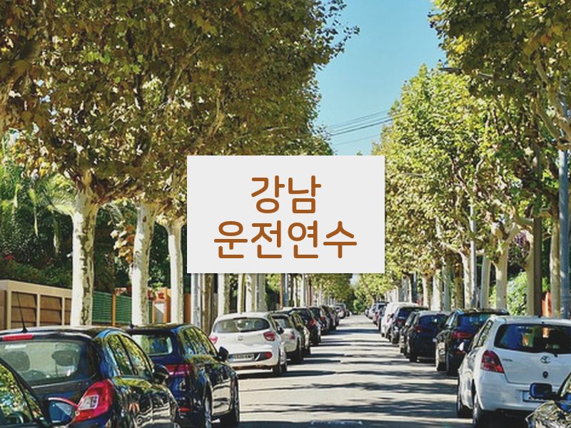 강남운전연수 후기