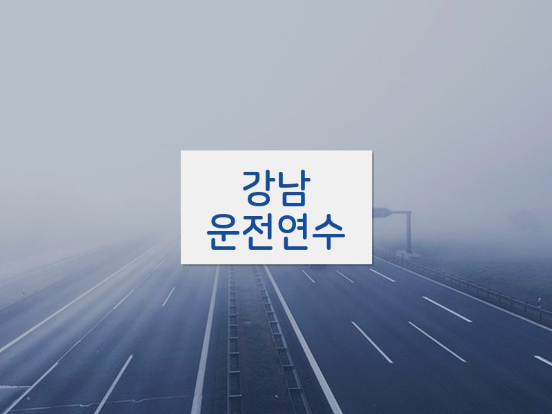 강남운전연수 후기