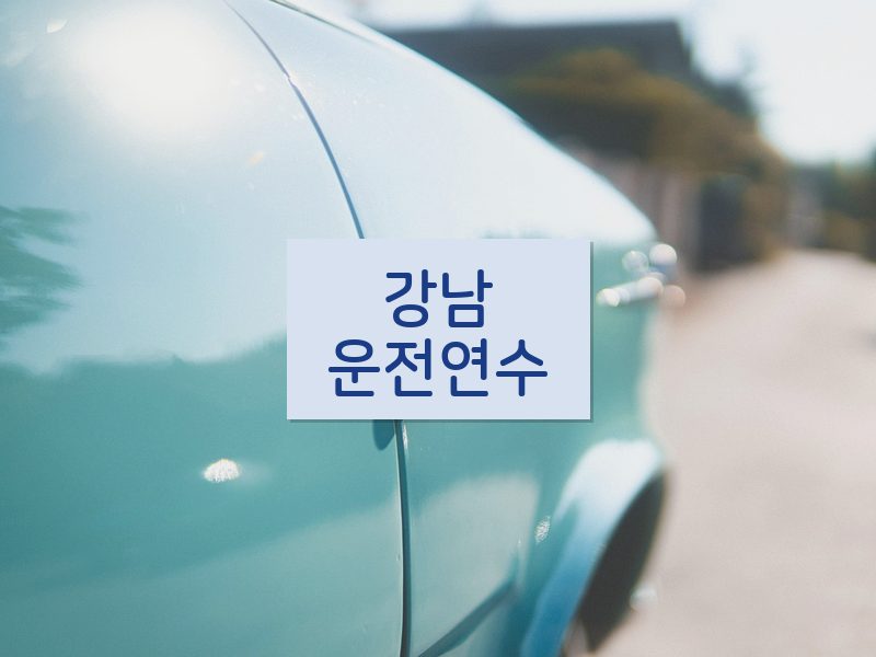 강남운전연수 후기