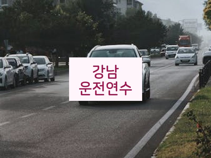강남운전연수 후기